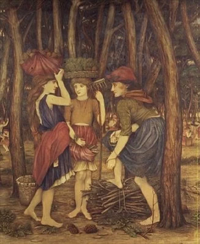 I boschi di pino
